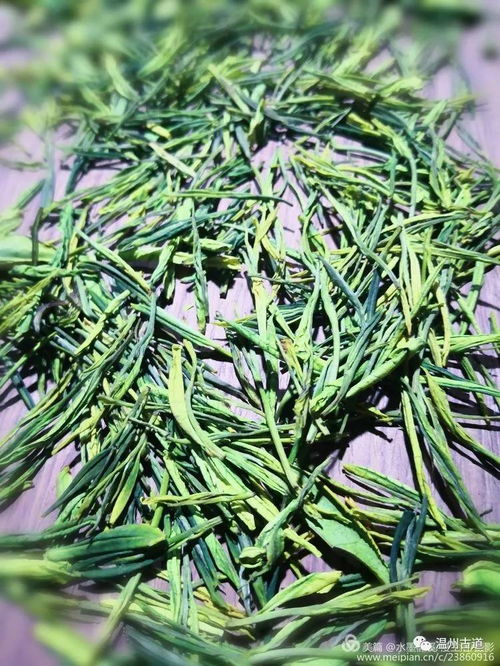 安吉茶鄉(xiāng)行 走進(jìn)一片綠葉的千年絮語(yǔ)